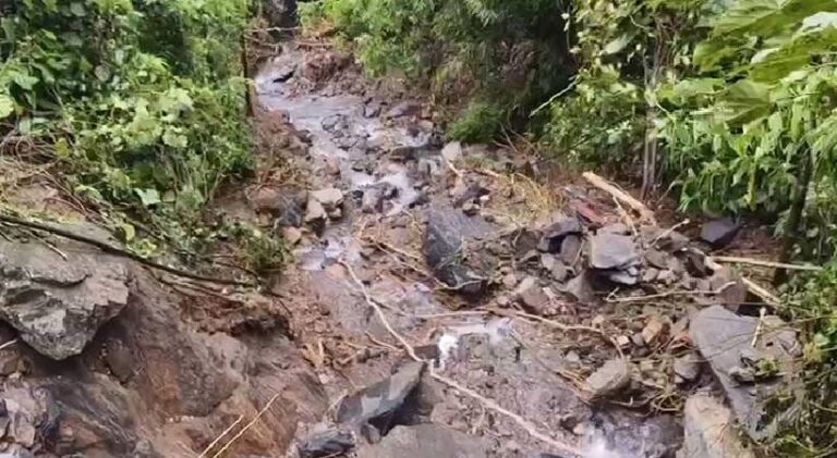 പാലക്കയത്ത് മഴ കുറഞ്ഞു; കാഞ്ഞിരപ്പുഴ ഡാമിലെ ഷട്ടറുകൾ ഉയർത്തി