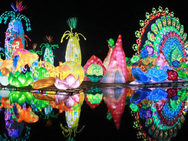 വിസ്മയ കാഴ്ചകള്‍ കാണാം; വിനോദസഞ്ചാര കേന്ദ്രങ്ങള്‍ സജീവമാകുന്നു