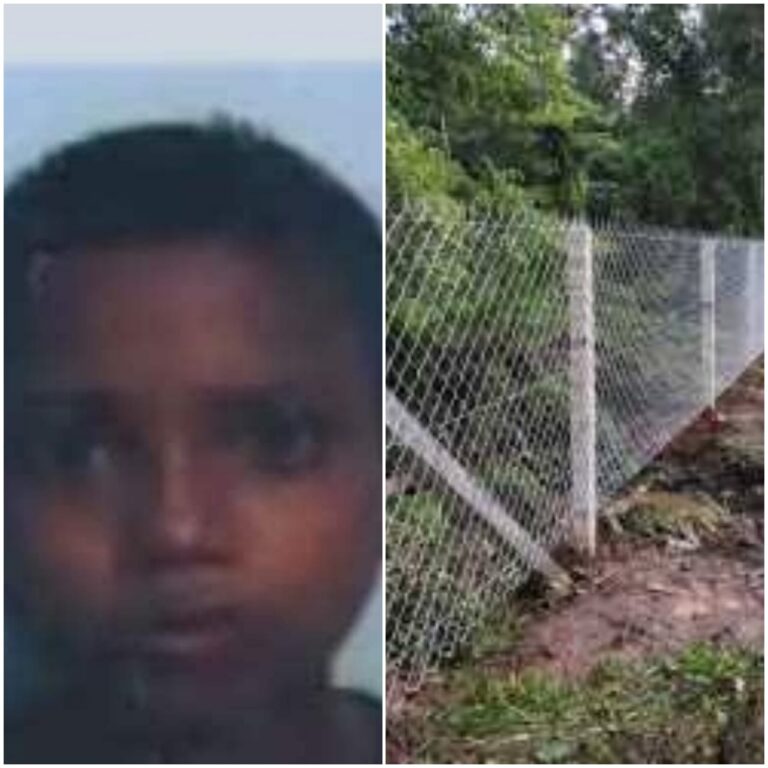 മലപ്പുറത്തെ 13 കാരന്റെ മരണം ഷോക്കേറ്റ്; കൃഷി ഉടമയ്‌ക്കെതിരെ കേസ്