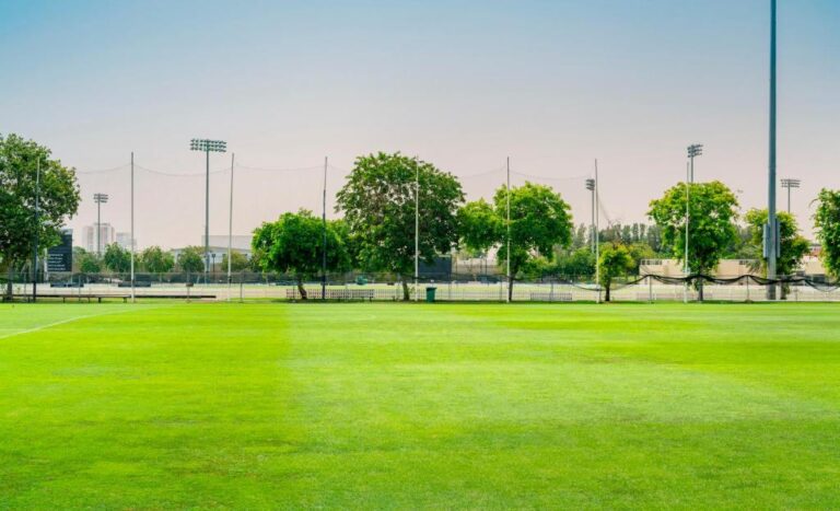 ദുബൈയില്‍ മൈതാനം സൗജന്യമായി ലഭ്യമാക്കി മുന്‍സിപ്പാലിറ്റി